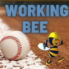 Working bee this... - Baseball Association Townsville