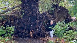 Fundraiser by Jeremiah Akin : Sisters in Need: Helping Mom and Aunt Recover  from Asheville