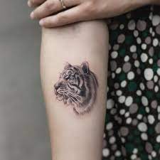Frankyy Newtattoo Tiger Tattoo Tiger Tattoo Design Tiger Tattoo Small Tiger Tattoo