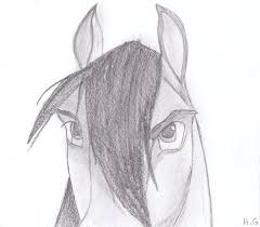 See horse drawing stock video clips. Pin On Pictures