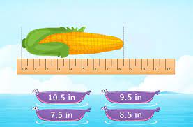 18 inches are equal to 18 x 2.54 = 45.72 centimeters. Ruler Games For Kids Online Splashlearn