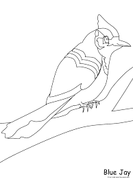 Baseball team and major league baseball franchise in toronto, ontario, canada. Blue Bird Coloring Page Coloring Home