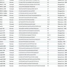 Image result for Phyllanthus loandensis