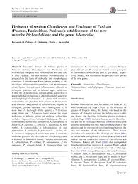 Image result for Panicum pectinellum