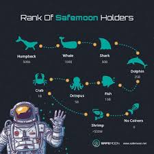 I am not talking about the safety of buying crypto and also this is not any financial advice. The Phenomenon Of The Safemoon Coin Crypto Price Prediction For 2021