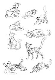Cat Drawing Poses At Paintingvalley Com Explore Collection Of Cat Drawing Poses Small update and support some great causesjune 10, 2020. cat drawing poses at paintingvalley com