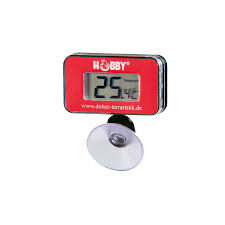 Hobby Digital Thermometer Reptilienkosmos De Die Schonsten Seiten Der Terraristik