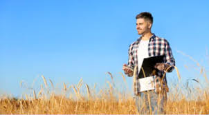 La măsura noastră (ca şi la 141 sau la 121) nu a fost nevoie să avem investiţie proprie şi nici să avem facturi de. Pndr 6 1 Sprijin Instalare Tineri Fermieri Diaspora Consultanta Si Accesare Fonduri Europene Nerambursabile Neotrust