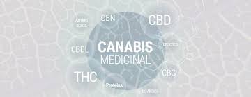 Si in romania a inceput campania pro marijuana. Canabis Medicinal 101 Tot Ce Trebuie SÄƒ È™tii Despre Marijuana MedicinalÄƒ Royal Queen Seeds