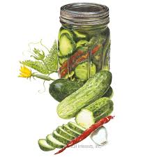 Homemade Pickles Cucumber Seeds Vegetables Botanical Interests
