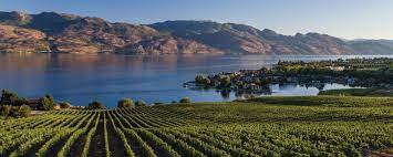 West kelowna's newest hotel is centrally located to explore okanagan lake beaches, world class wineries, and championship golf courses, all minutes away. West Kelowna