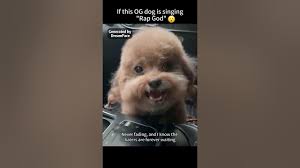 If OG dog is singing "Rap God".