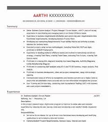 scrum master resume example wal mart