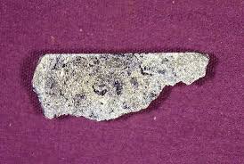 Image result for Corycium