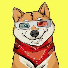 Shiba Solgang Shibasolgang Twitter