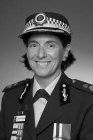 NSW Police Force 2012-13 Annual Report