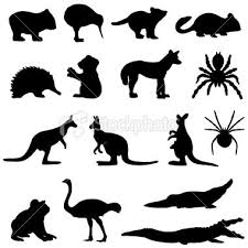 Australian Animals In Silhouette Including A Wombat Kiwi Tasmanian Animal Silhouette Australian Animals Australian Wildlife