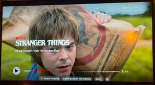 If you are watching Season 5 of @strangerthingstv, you might notice a  Chicken Grit bag that says produced in Walhalla, SC. Our little town  getting some big attention! #strangerthings #strangerthings5 #walhalla  #walhallasc