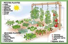 Comment Creer Un Jardin Potager Sur 1 Metre Carre Jardin Potager Plan Potager Jardin En Carre