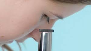 The following is a procedure to viewing cheek cells under the microscope: How To Observe Cells Under A Microscope Bbc Bitesize