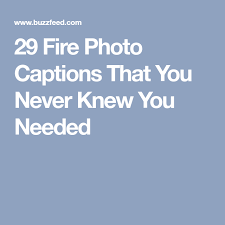 Digital marketers understand the extent to the followers we send to you have a profile picture, a bio, and an instagram feed. 29 Fire Photo Captions That You Never Knew You Needed Photo Caption Instagram Picture Quotes Captions For Guys