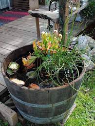 Whether it's a bubbling fountain or little fishes, the mini pond has got you covered. 21 Fascinating Low Budget Diy Mini Ponds In A Pot Amazing Diy Interior Home Design