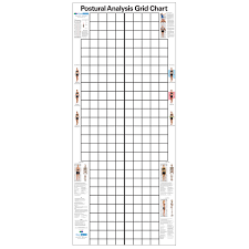 Posture Assessment Grid Related Keywords Suggestions