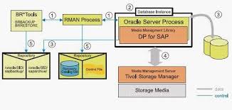 Recovery Manager Rman Is The Oracle Proprietary Backup And Recovery Management Tool Rman Is Included As A Part Of Or Oracle Database Database Management Tsm
