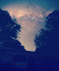 Astro Photography Milky Way Star Field Over My Little Cottage In Wisemans Ferry New South Wales Au Ireland Places To Visit Milky Way Stars Travel Photography