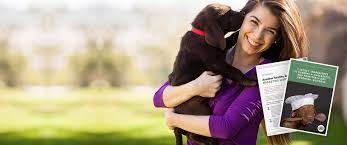 Well in a nutshell, we come to you, offering a friendly and professional grooming service on your doorstep saving you time and money in. Home Dial A Dog Wash