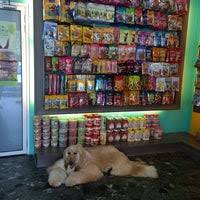 We did not find results for: Dog R Us Pet Shop 161 Jalan Kelawai