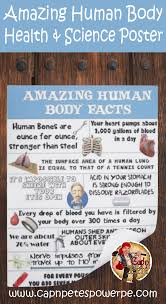 Health And Science Poster Amazing Human Body Facts Capnpetespowerpe Human Body Facts Science Poster Health