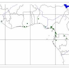 Image result for Eremospatha cuspidata