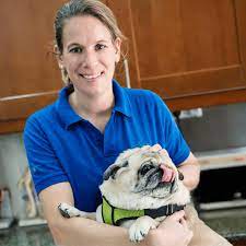 We are constantly working on. Veterinary Clinic In Dubai Vet Hospital In Dubai