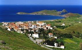 Τον θάνατο από πνιγμό 493 φασιανών μέσα στα κλουβιά τους ανακοίνωσε στις 4 δεκεμβρίου ο κυνηγετικός σύλλογος λήμνου καθώς στην περιοχή μητρόπολη χείμαρρος στις 25 νοεμβρίου. Platy Xwrio Lhmnos Gtp