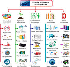 Image result for Pimpinella sp. A. of FZ 4: 594