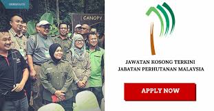 In the auditor report of 2015, jabatan perhutanan was rated 'good' in the section of accountability index rating, with the score of 73.27 out of 100. Jawatan Kosong Terkini Jabatan Perhutanan Kerja Kosong Kerajaan Swasta