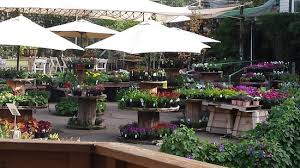 We did not find results for: ã‚ªãƒ¼ãƒŠãƒ¡ãƒ³ãƒˆ Picture Of Myrtle Creek Botanical Gardens Nursery Fallbrook Tripadvisor