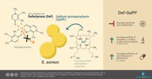 The abstract of your research paper should be about 150 words but no longer than 250 and it should also be a single paragraph. Graphical Abstract Wikipedia