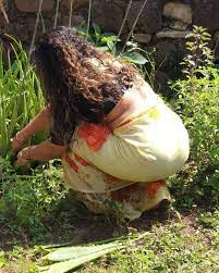 Pin On Saree