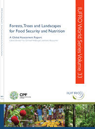 14 true stories of survival. Pdf Kleinschmit D Martin A Dawson N Et Al 2015 Drivers Of Forests And Tree Based Systems For Food Security And Nutrition In Vira Wildburger Mansourian Eds 2015 Forests Trees And Landscapes