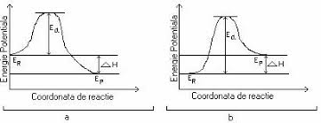 Reactii Chimice Fenomene Ce Se Petrec In Timp Viteza De Reactie Referat