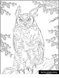 While most of them prefer to be active at night, and typically nest in places that humans don't visit, some owls tend to appear during the day and in less remote places. Realistic Great Horned Owl Coloring Page Free Print And Color Online