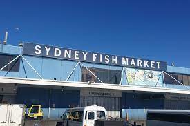 The sydney fish market may be a local and tourist icon visited by millions every year but its still worth a second look. Scaling Up Turner Townsend To Lead Construction Of Sydney Fish Market The City S Next Icon News Gcr