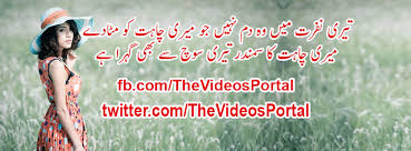 Funny video man ask to imran khan. Urdu Poetry Whatsapp Funny Videos Home Facebook