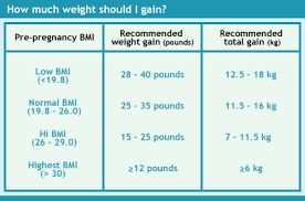 How Much Weight To Gain During Pregnancy Visit Blarney