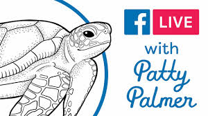 Si quaeris peninsulam amoenam, circumspice if you seek a pleasant peninsula, look about you. Sea Turtles Drawing Painting Lesson Deep Space Sparkle