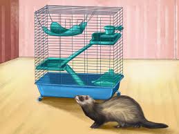 For many states we're unable to find a breeder. How To Buy A Ferret With Pictures Wikihow