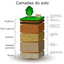 (solo) stock quote, history, news and other vital information to help you with your stock trading and investing. Solo Camadas E Composicao Do Solo Geografia E Geologia Infoescola