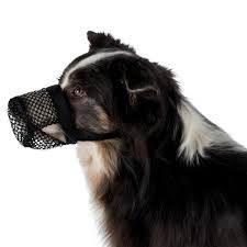 (insektizide, fungizide, herbizide, giftköder, vogelscheuchen, antihagelgeschosse, frostschutzmittel usw.) eingesetzt werden. Trixie Giftkoder Maulkorb Maulkorbe Hundeschule Ausbildung Hundeleinen De Alles Rund Um Ihren Hund